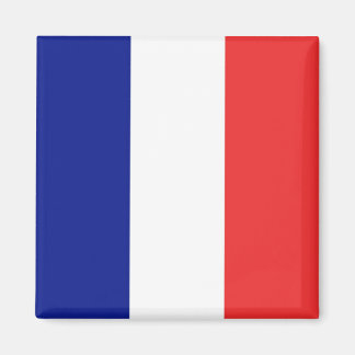 Imán Bandera de Francia Tricolore Francés