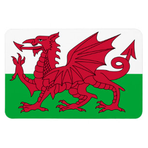 Imán Bandera de Gales