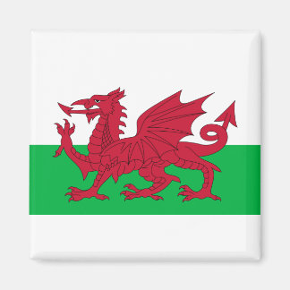Imán Bandera de Gales