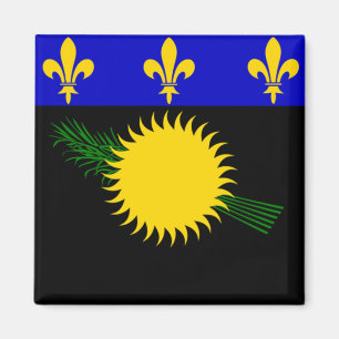 Imán Bandera de Guadalupe