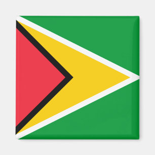 Imán Bandera de Guyana