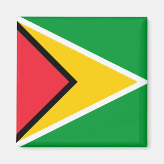 Imán Bandera de Guyana
