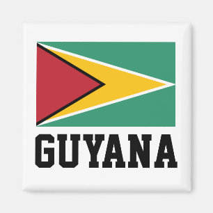 Imán Bandera de Guyana