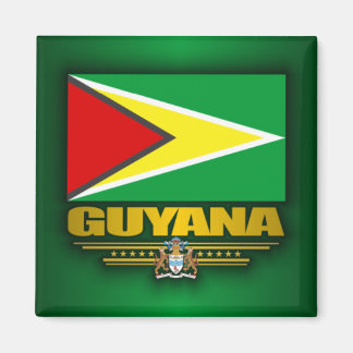 Imán Bandera de Guyana