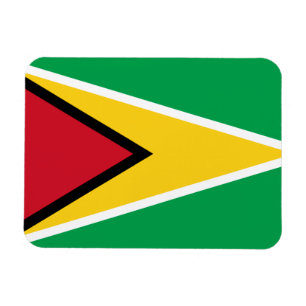 Imán Bandera de Guyana