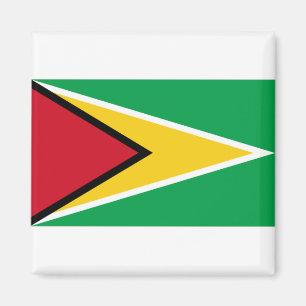 Imán Bandera de Guyana