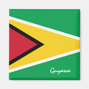 Imán Bandera de Guyana y hinchas deportivos y de vacaci