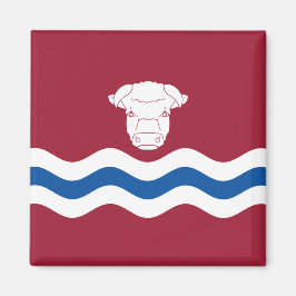 Imán Bandera de Herefordshire (condado del Reino Unido)