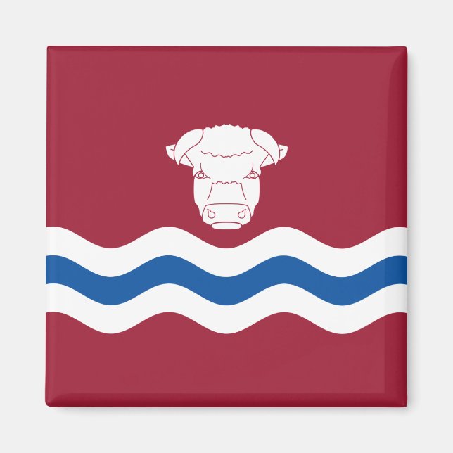 Imán Bandera de Herefordshire (condado del Reino Unido) (Frente)