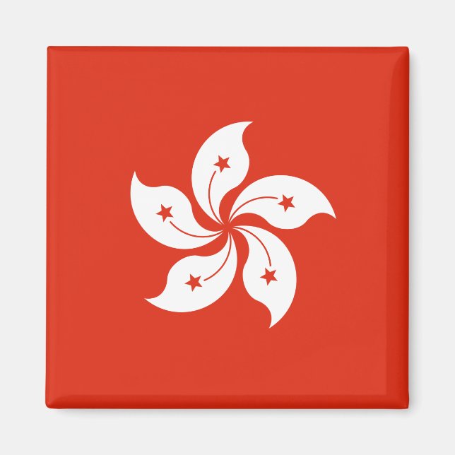 Imán Bandera de Hong Kong (Frente)