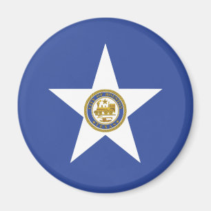 Imán Bandera de Houston (Texas)