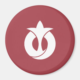 Imán Bandera de la prefectura de Aichi, Japón