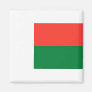 Imán Bandera de Madagascar
