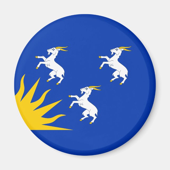 Imán Bandera de Merionethshire Magnet (Frente)