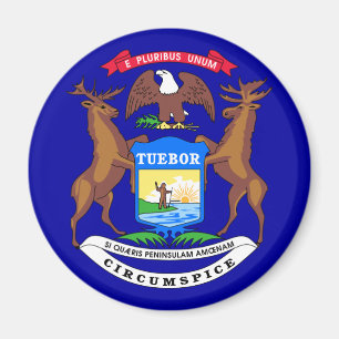 Imán Bandera de Michigan