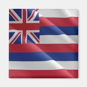 Imán BANDERA DE ONDA DE HAWAII zHI002, Oceanía, Fridge
