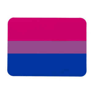 Imán Bandera de orgullo bisexual