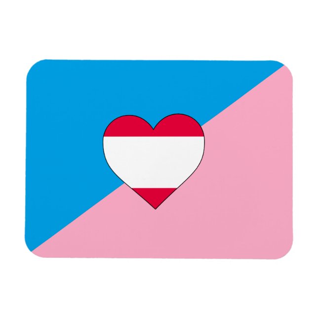 IMÁN BANDERA DE ORGULLO DE JUEGO DE EDAD (Horizontal)
