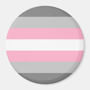 Imán Bandera de Orgullo Demigirl
