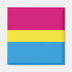 Imán bandera de orgullo pansexual SlipperyJoe rosa ámba