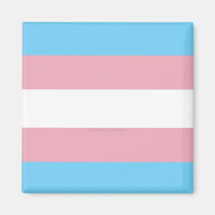 Imán bandera de orgullo transgénero diversidad rig de S