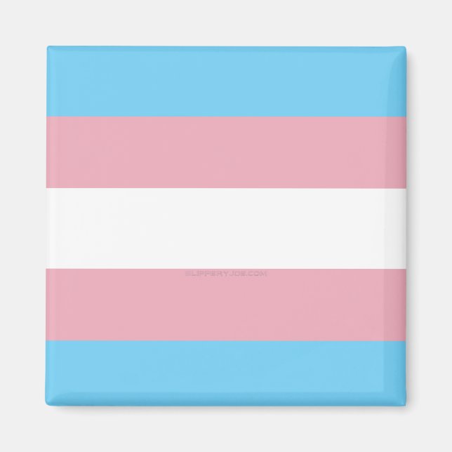 Imán bandera de orgullo transgénero diversidad rig de S (Frente)