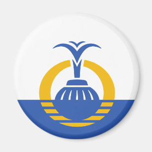 Imán Bandera de Orlando, Florida