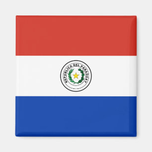Imán Bandera de Paraguay