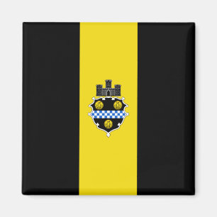 Imán Bandera de Pittsburgh (Pennsylvania)
