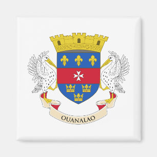 Imán Bandera de San Bartolomé