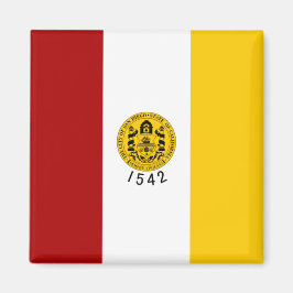 Imán Bandera de San Diego (California)