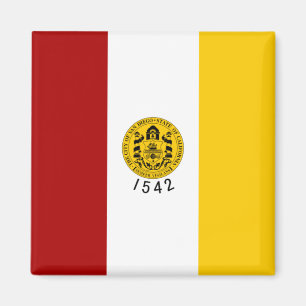 Imán Bandera de San Diego (California)