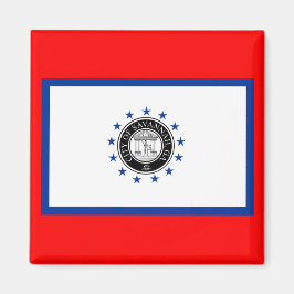 Imán Bandera de Savannah (Georgia)