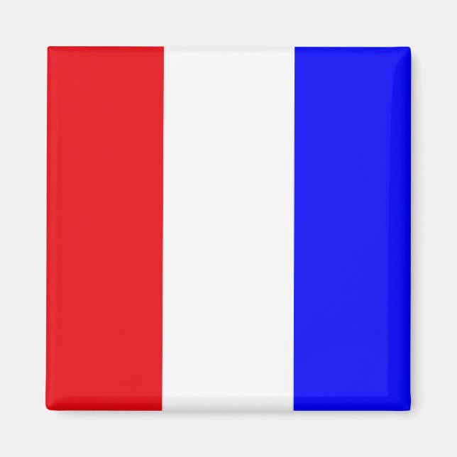 Imán Bandera de señales de código "T" (Tango) (Frente)