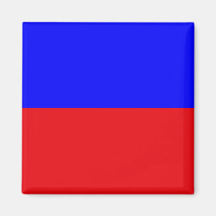 Imán Bandera de Señalización Marina: Letra "E" (Eco)