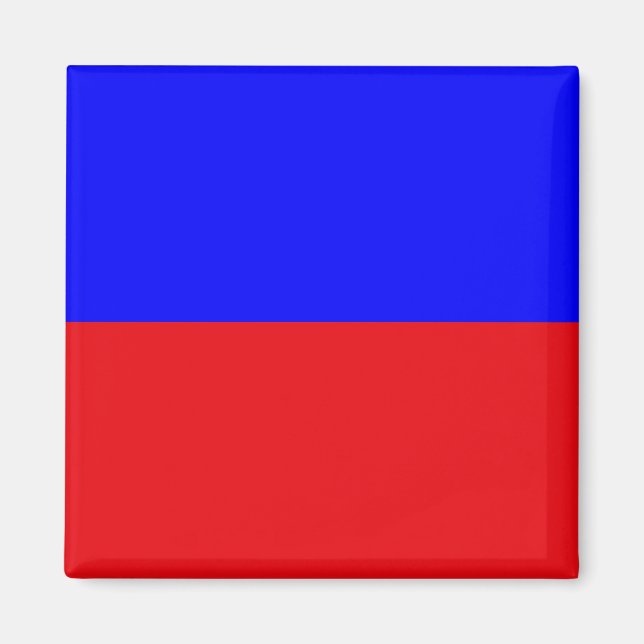 Imán Bandera de Señalización Marina: Letra "E" (Eco) (Frente)
