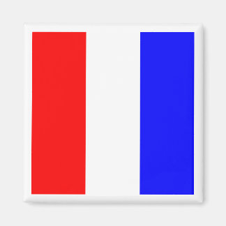 Imán Bandera de Señalización Marítima Internacional TAN