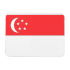 Bandera de Singapur