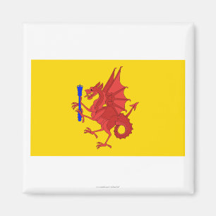 Imán Bandera de Somerset
