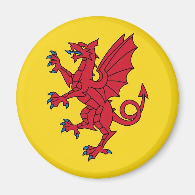 Imán Bandera de Somerset Magnet (Frente)