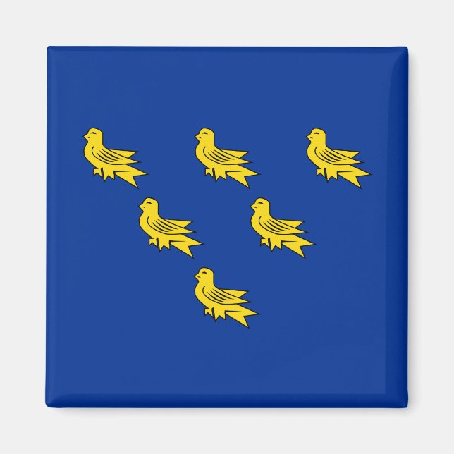 Imán Bandera de Sussex (Frente)