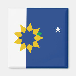 Imán Bandera de Topeka (Kansas)