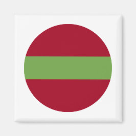 Imán Bandera de Transnistria