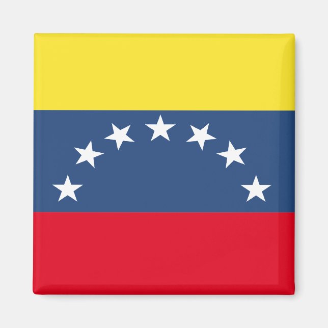 Imán Bandera de Venezuela (Frente)