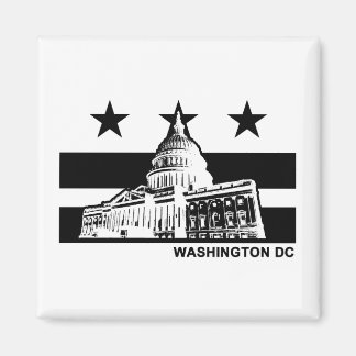 Imán Bandera de Washington DC