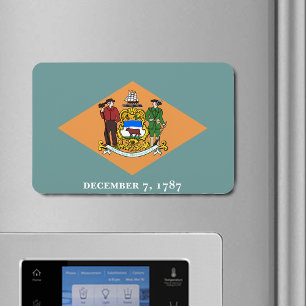 Imán Bandera del Estado de Delaware