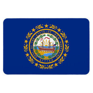 Imán Bandera del estado de Hampshire