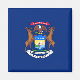 Imán Bandera del estado de Michigan