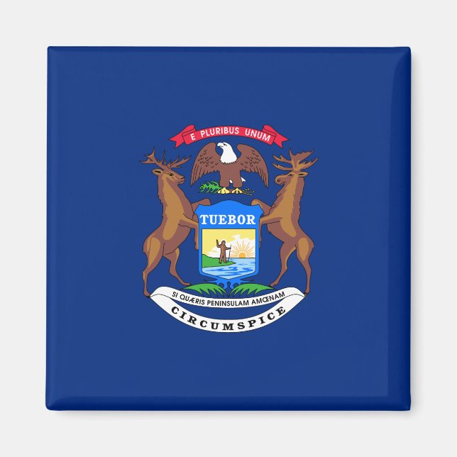 Imán Bandera del estado de Michigan (Frente)
