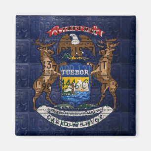 Imán Bandera del estado de Michigan en las placas de li